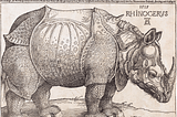 How a Drawing Of a Rhino Can Help Your Team Take An Outside Perspective