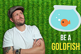 Be a Goldfish Sam
