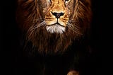 https://www.4kmobilewallpaper.com/