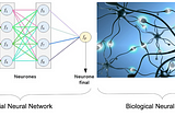 AI Let’s reveal in terms of biomedical