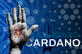 who’s in on cardano IDOs