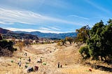 People planting trees on a hill, with mountains visible in the distance