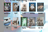 A Typical Nursing Team In The Fearless World Of Felines