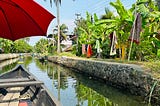 A boat is shown in a narrow canal, lined with banana and coconut trees