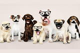 Cachorros con lentes y bigotes utilizando Dlib