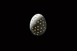 Perforated egg, a still life.