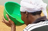 Trees for Water Protection in Northern Ghana