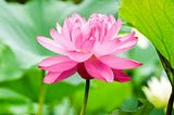 Knowledge And Beauty