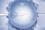 IVF fertilization