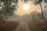 Country road at sunrise