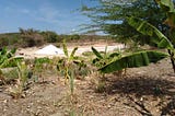 Famílias agricultoras continuam sendo beneficiadas pelo projeto Vida Digna para o Semiárido