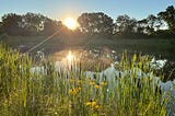 Retreat to Peace