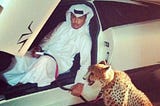Cheetah next to your Lamborghini