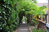 Paths Less Taken: The Hidden Footpaths of Berkeley