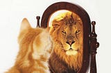 What is Your Mirror Telling You?