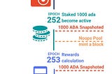 Cardano | Delegation and rewards distribution timeline | NOOPS Guide