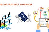 Is HR and Payroll Software Suitable Only for HR Professionals