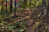 A trail up a small hill in autumn