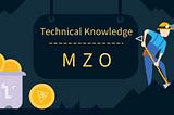 Explained the development idea of MZO from the technical level