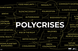There is a term for what’s going on right now: the Polycrisis