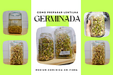Como preparar lentilhas germinadas