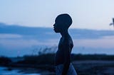 Moonlight é um cinemão da porra
