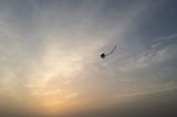Building a New Horizon