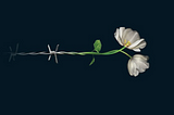 27 de enero: Día Internacional en Memoria del Holocausto