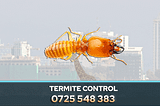 PestPro is a trusted provider of Termite Control and Removal services in Nairobi, Kenya. Termites are a common pest that can cause severe damage to buildings and furniture. Effective termite control is essential to protect your property, and PestPro offers a range of solutions to tackle this problem.