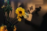 Picture of wildflowers creating a triple shadow of them on the wall behind