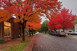 Brilliant orange and red hues of leaves in the Fall