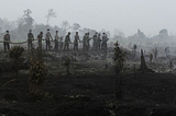 Forest-burning is a sin, says Indonesian fatwa — BBC News