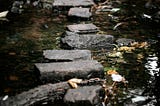 A small brook or stream with a stone walking path. A few wild flowers