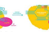 Think About It! Gene editing 2.0 *Prime editing