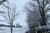 A grey sky, with a footpath to the right of a white snowy field, lined with trees covered in snow.