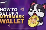 How to set up a MetaMask wallet 👨‍🏫