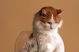 Millennial learning financial planning