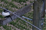 An insulator on a distribution pole