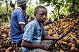 Behind the Bittersweet: The Plight of African Children in Cocoa Fields