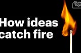 Medium: The Digital Campfire Where Ideas Catch Fire