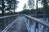 Treetop Walkway in Krkonoše, Czech Republic