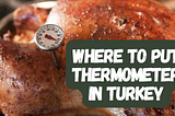 Where to Put Thermometer in Turkey — Your Guide to Perfect Poultry