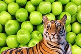 Apples & Tigers: An iron year closes, dragging curtains into the breeze