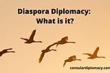 Diaspora Diplomacy: What is it?