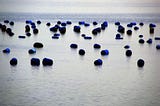 Bruinisse — Zeeland, The Netherlands (photography by Björn Roose)