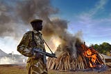 Supporting the World’s Biggest Elephant Ivory and Rhino Horn Burn