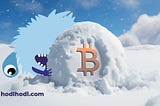 Bitcoin winter