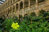 Ancient Maltese Heritage