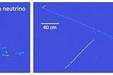 From Curiosity to Neutrinos