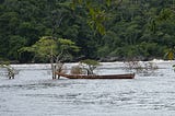 An empty boat on a wide river in the jungle